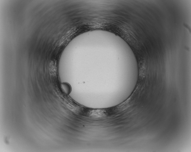 X0000100410179200806201807