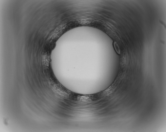 X0000100410180200806201807