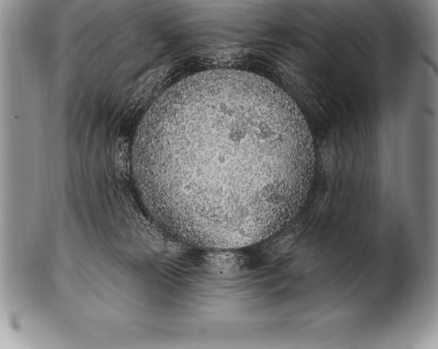 X0000100410181200806201807