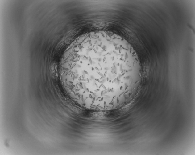 X0000100410182200806201807