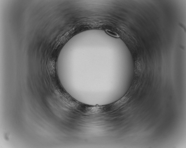 X0000100410184200806201807