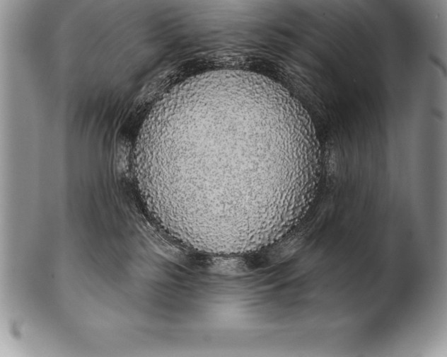 X0000100410185200806201807