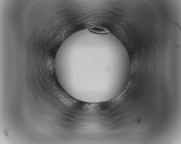 X0000100410186200806201807