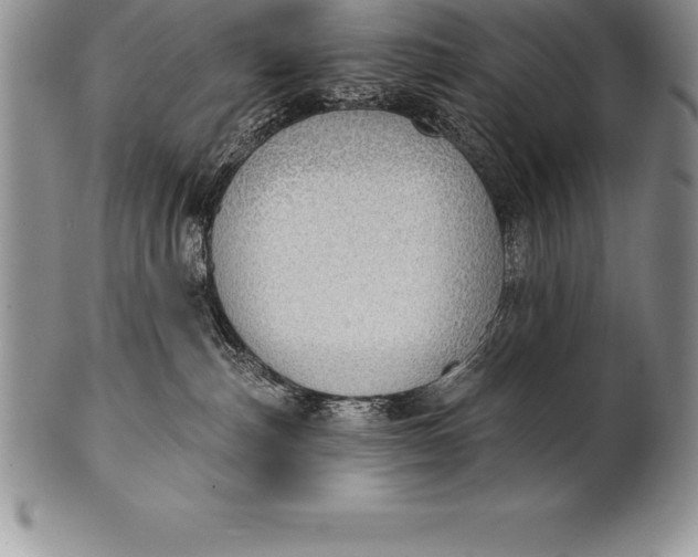 X0000100410187200806201807