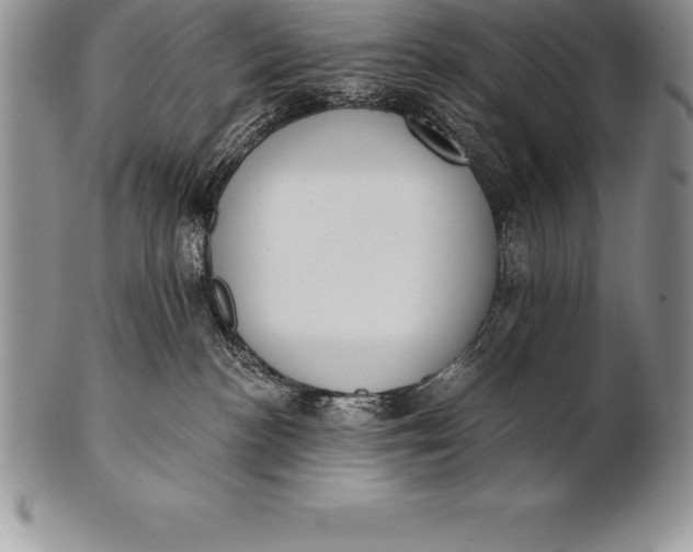 X0000100410188200806201807