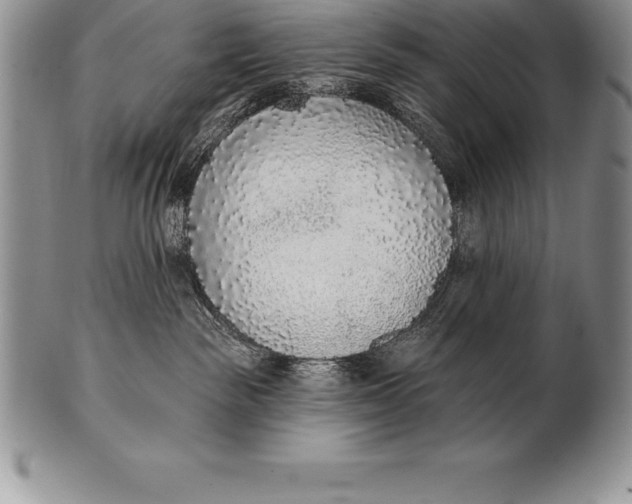 X0000100410189200806201807