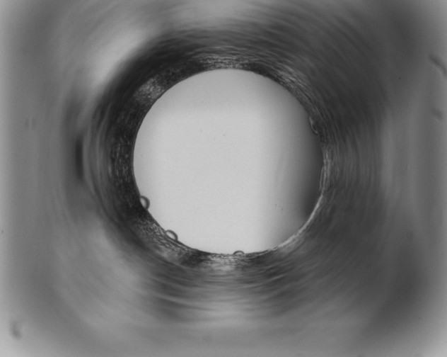 X0000100410190200806201807