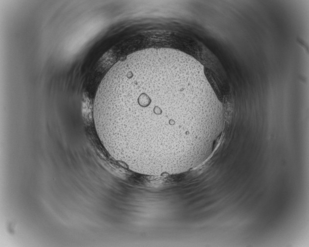 X0000100410191200806201807