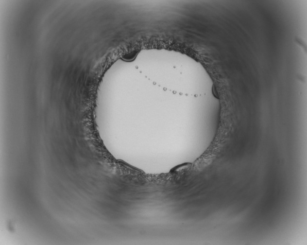 X0000100410192200806201807