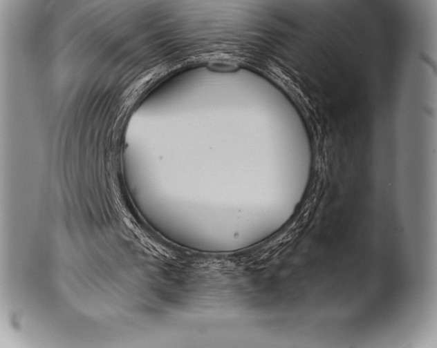 X0000100410193200806201807