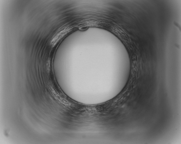 X0000100410194200806201807