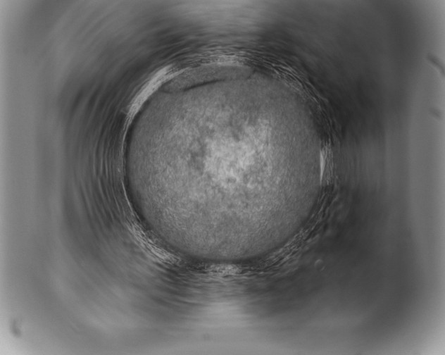 X0000100410195200806201807