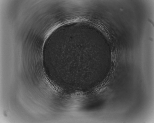 X0000100410196200806201807