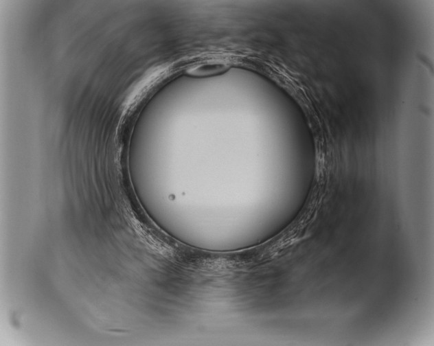 X0000100410197200806201807