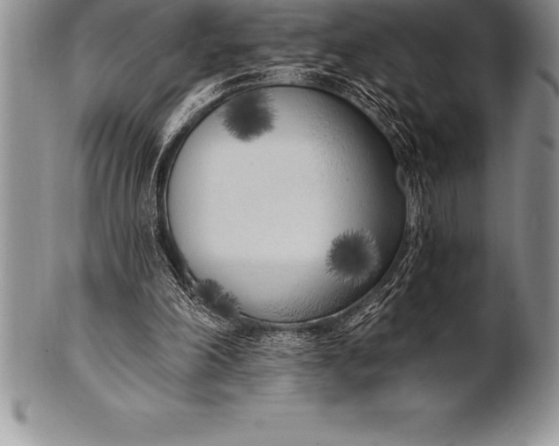 X0000100410198200806201807