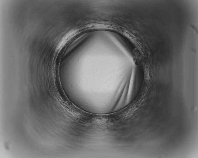 X0000100410199200806201807