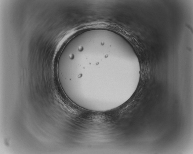 X0000100410200200806201807