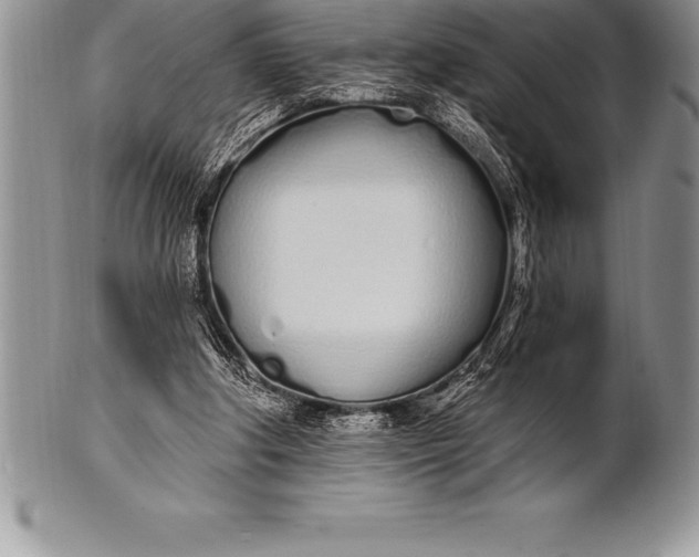 X0000100410202200806201806