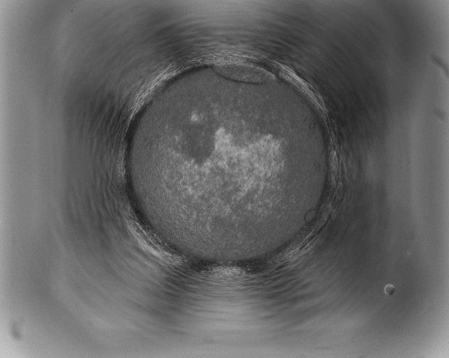 X0000100410203200806201806