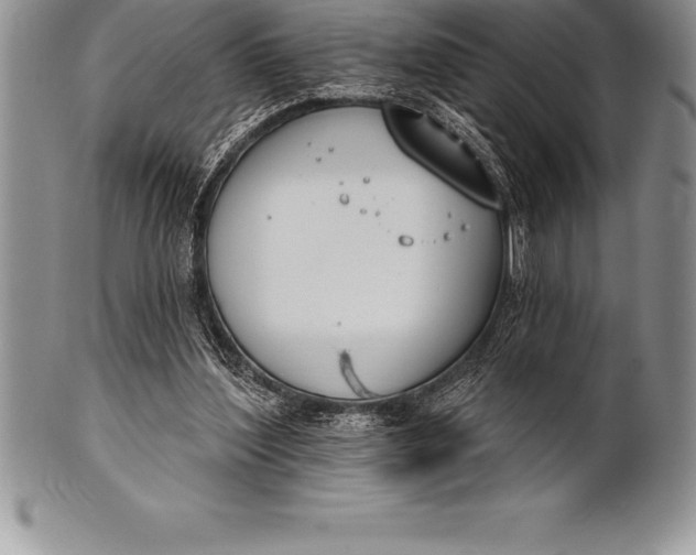 X0000100410204200806201806