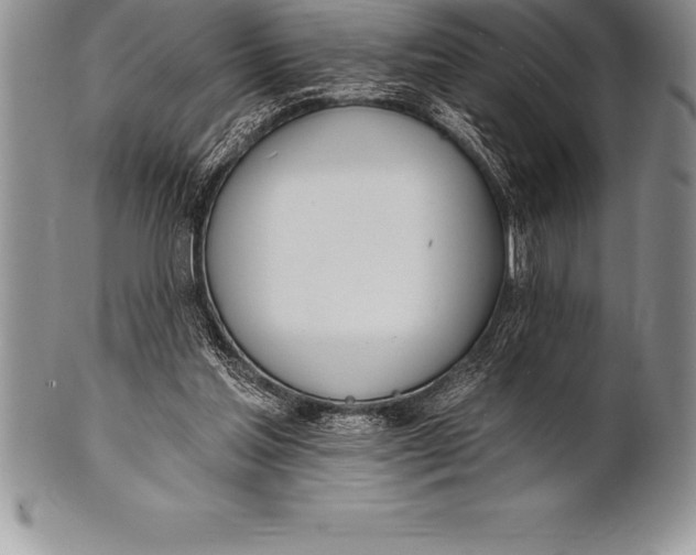 X0000100410205200806201806