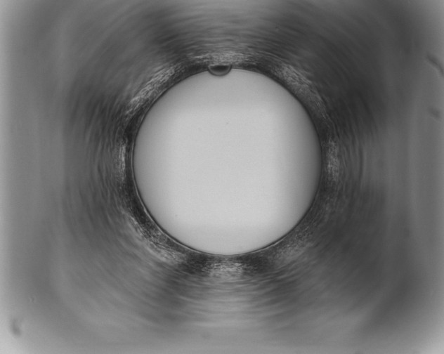 X0000100410206200806201806