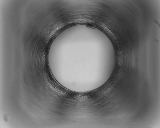 X0000100410207200806201806