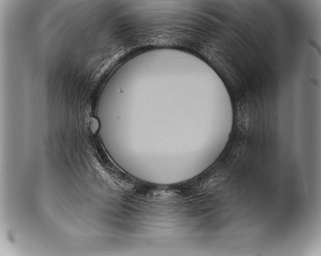 X0000100410208200806201806