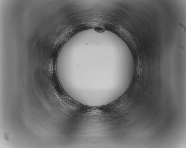 X0000100410210200806201806