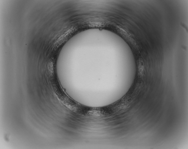 X0000100410211200806201806