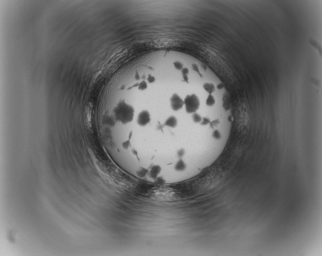 X0000100410214200806201806