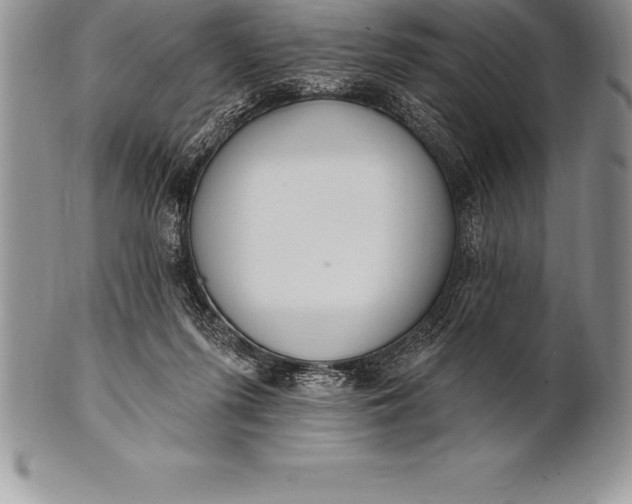 X0000100410215200806201806