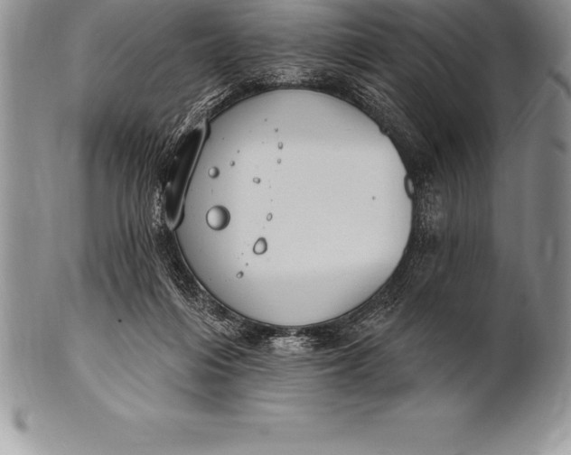 X0000100410216200806201806