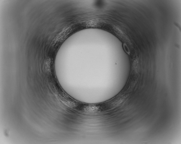 X0000100410217200806201806