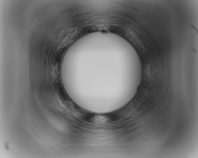 X0000100410218200806201806