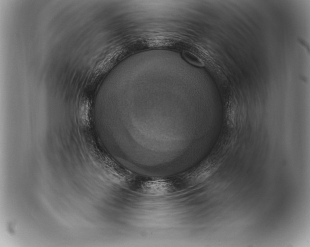 X0000100410219200806201806