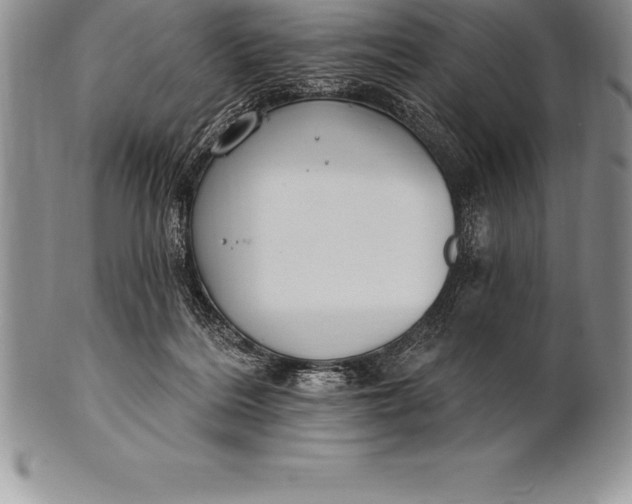 X0000100410220200806201806