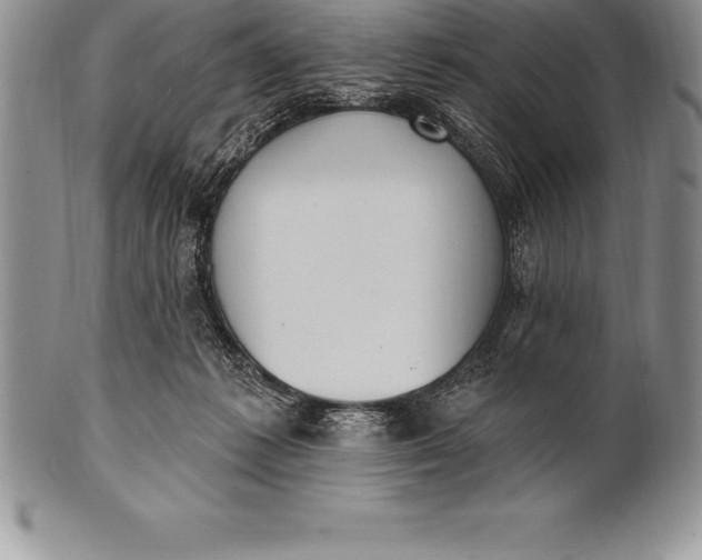 X0000100410221200806201806