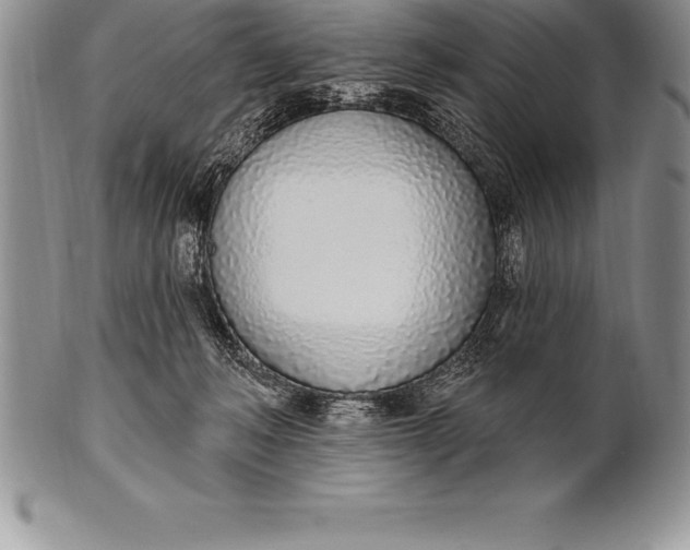 X0000100410222200806201806