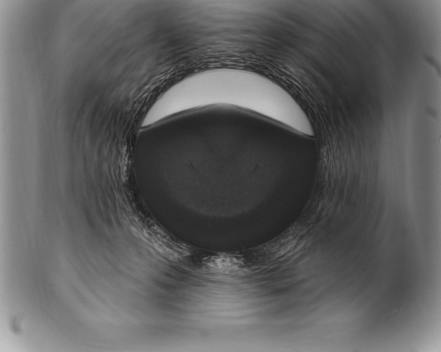 X0000100410223200806201806