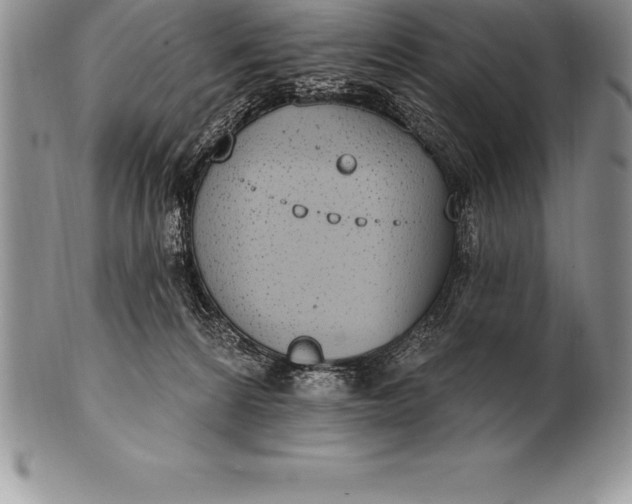 X0000100410224200806201806