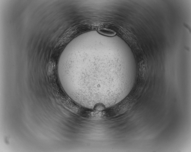 X0000100410225200806201806