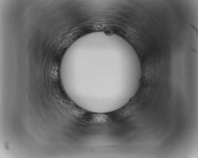 X0000100410226200806201806