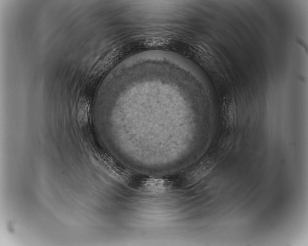 X0000100410227200806201806