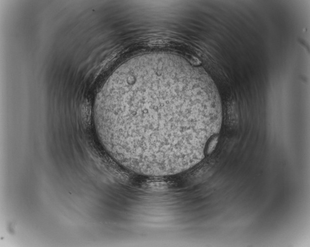 X0000100410228200806201806