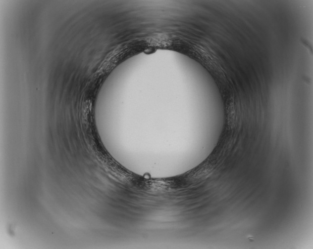 X0000100410229200806201806