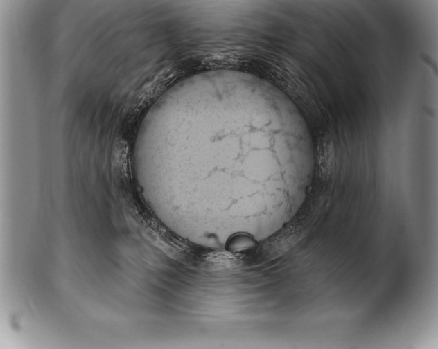 X0000100410231200806201806