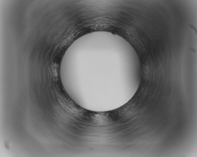 X0000100410232200806201806