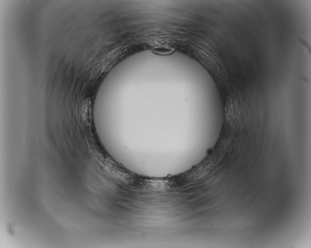 X0000100410233200806201806