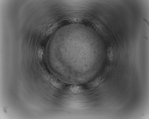 X0000100410235200806201806